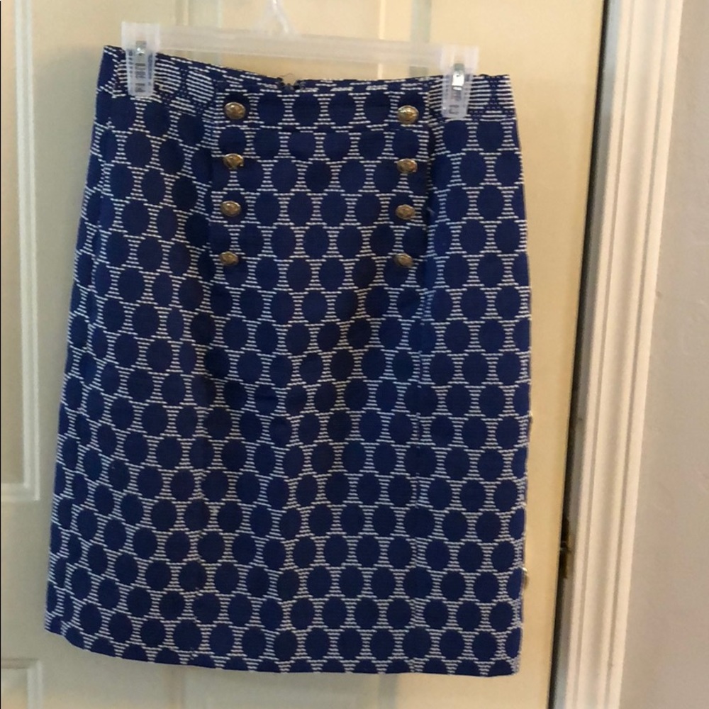 Beautiful Blue Skirt